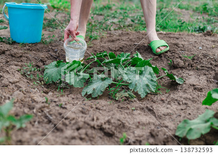 Woman in the village manually waters every plant. Garden. Village Woman in the village manually waters every plant. Garden. Village 138732593