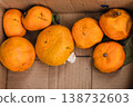 Rotten oranges and tangerines in a cardboard box 138732603