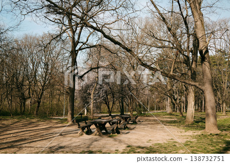 Empty picnic area with wooden tables in spring park surrounded by blooming trees and soft sunlight. Perfect for outdoor lifestyle, relaxation themes, travel content and seasonal advertising visuals Empty picnic area with wooden tables in spring park surrounded by blooming trees and soft sunlight. Perfect for outdoor lifestyle, relaxation themes, travel content and seasonal advertising visuals 138732751