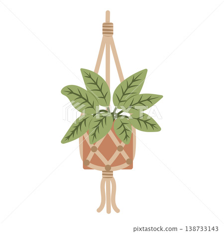 Hanging houseplant in macrame pot for home decor 138733143