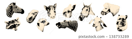 Animals heads halftone art collage cut out elements set Horse, goat and raccoon, pig, llama and iguana, rabbit and meerkat Pet, domestic, farm and wild animal stickers Modern retro vector illustration 138733289