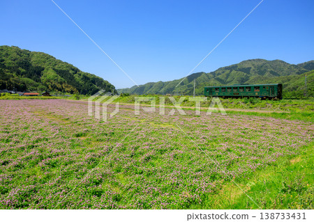 一列若狹鐵道的復古柴油動車組飛馳而過,藍天下盛開著滿眼的蓮花。 一列若狹鐵道的復古柴油動車組飛馳而過,藍天下盛開著滿眼的蓮花。 138733431