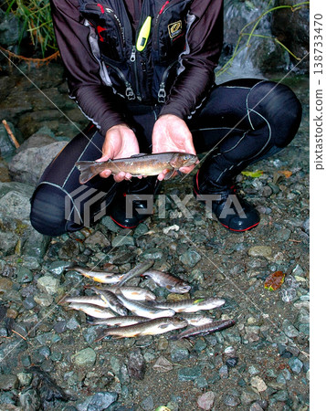 Catch of mountain stream fishing Catch of mountain stream fishing 138733470