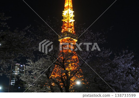 The beautiful cherry blossoms and tower visible from Shiba Park at night, illuminated by lights. The beautiful cherry blossoms and tower visible from Shiba Park at night, illuminated by lights. 138733599
