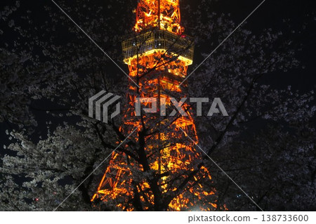 The beautiful cherry blossoms and tower visible from Shiba Park at night, illuminated by lights. The beautiful cherry blossoms and tower visible from Shiba Park at night, illuminated by lights. 138733600