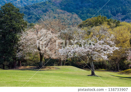 奈良縣飛火之春世界自然遺產 138733907