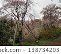 Haraya花園 138734203