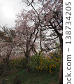 Haraya花園 138734205