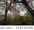 Haraya花園 138734206