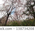Haraya花園 138734208