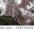 Haraya花園 138734209
