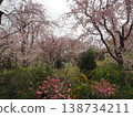 Haraya花園 138734211