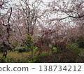 Haraya花園 138734212