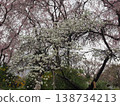 Haraya花園 138734213