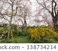 Haraya花園 138734214
