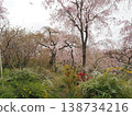 Haraya花園 138734216