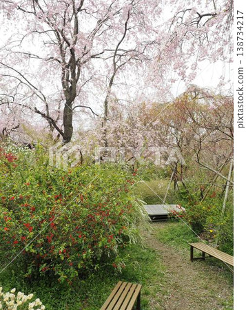 Haraya花園 Haraya花園 138734217