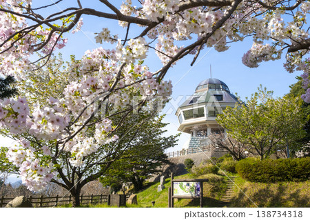 Cherry blossoms in full bloom at Umanoyama Park in Hawaii, Yurihama Town Cherry blossoms in full bloom at Umanoyama Park in Hawaii, Yurihama Town 138734318