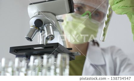 Female scientist wearing green protective mask and gloves is holding test tube with plant sample, researching botany and medical applications using a microscope. Medicine and science concept Female scientist wearing green protective mask and gloves is holding test tube with plant sample, researching botany and medical applications using a microscope. Medicine and science concept 138734547
