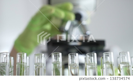 Close up of test tubes with a scientist analyzing plant samples in test tubes with a microscope, conducting research in a laboratory. Medicine, healthcare and science concept Close up of test tubes with a scientist analyzing plant samples in test tubes with a microscope, conducting research in a laboratory. Medicine, healthcare and science concept 138734574