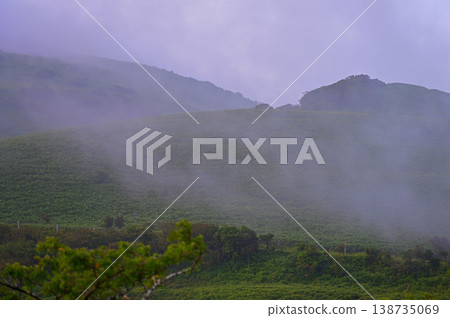 Izu Mountain Ridge Trail on the Izu Peninsula: A view of Mt. Daruma with morning mist flowing through it, seen from Asebigahara. Izu Mountain Ridge Trail on the Izu Peninsula: A view of Mt. Daruma with morning mist flowing through it, seen from Asebigahara. 138735069