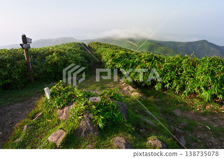Izu Mountain Ridge Trail on the Izu Peninsula: Mount Daruma summit on a summer morning. Izu Mountain Ridge Trail on the Izu Peninsula: Mount Daruma summit on a summer morning. 138735078
