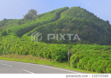 伊豆半島、伊豆山脊步道、西伊豆天際線和綠色的古木山 伊豆半島、伊豆山脊步道、西伊豆天際線和綠色的古木山 138735086