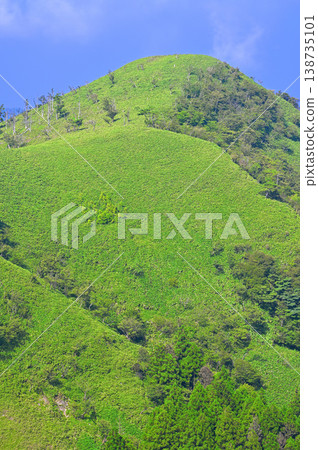 Izu Mountain Ridge Trail on the Izu Peninsula: Summer green mountains from Kokiyama Izu Mountain Ridge Trail on the Izu Peninsula: Summer green mountains from Kokiyama 138735101