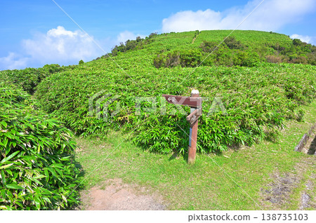 伊豆半島伊豆山脊步道:步道起點位於公路旁。 伊豆半島伊豆山脊步道:步道起點位於公路旁。 138735103