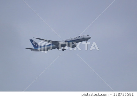 A passenger plane in landing approach (overcast sky) - Image A passenger plane in landing approach (overcast sky) - Image 138735591