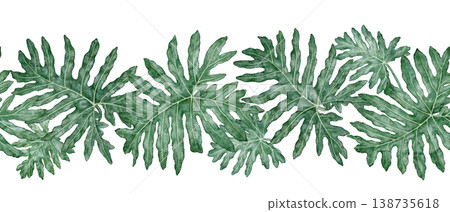 Tropical leaves seamless border of Philodendron Selloum watercolor botanical illustration. Hand drawn green foliage template with realistic plant texture. Nature indoor shrub garland for card design. Tropical leaves seamless border of Philodendron Selloum watercolor botanical illustration. Hand drawn green foliage template with realistic plant texture. Nature indoor shrub garland for card design. 138735618