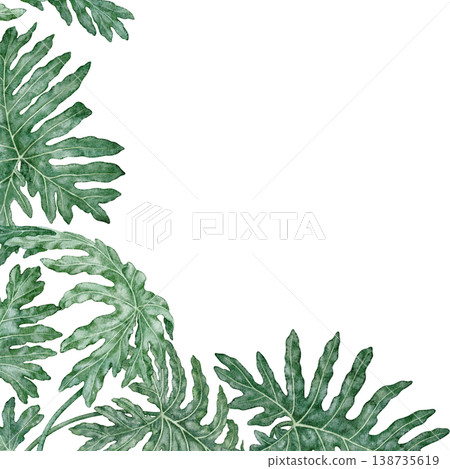 Tropical leaves square frame Philodendron Selloum watercolor botanical illustration. Hand drawn green foliage texture with copy space. Floral nature design for garden card decorative template. Tropical leaves square frame Philodendron Selloum watercolor botanical illustration. Hand drawn green foliage texture with copy space. Floral nature design for garden card decorative template. 138735619