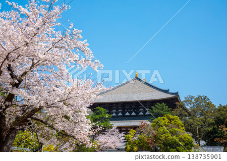 櫻花Todaiji寺廟的大佛 櫻花Todaiji寺廟的大佛 138735901