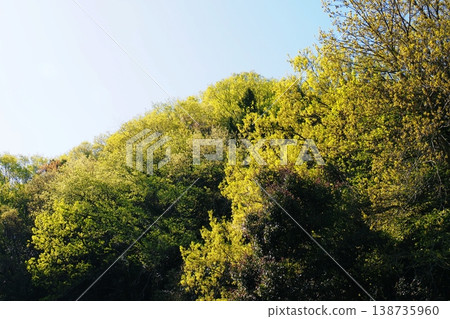 Early summer, the fresh green of the mountains Early summer, the fresh green of the mountains 138735960