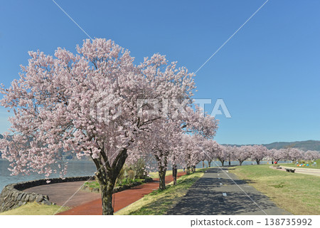 Lake Suwa Nagano Prefecture Shimosuwa Town Lake Suwa Nagano Prefecture Shimosuwa Town 138735992