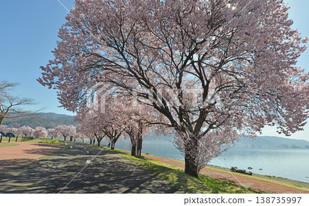 Lake Suwa Nagano Prefecture Shimosuwa Town 138735997