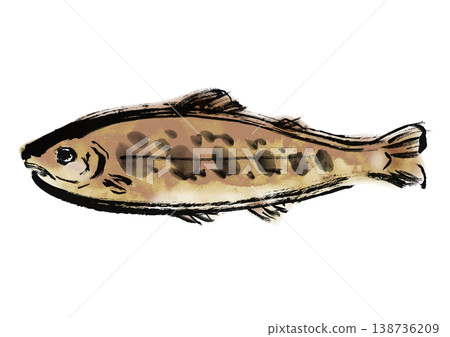 Japanese-style brushstroke illustration of a char (Iwana). Japanese-style brushstroke illustration of a char (Iwana). 138736209