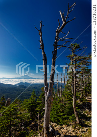 從奧秩父旭山頂眺望富士山。 138736231