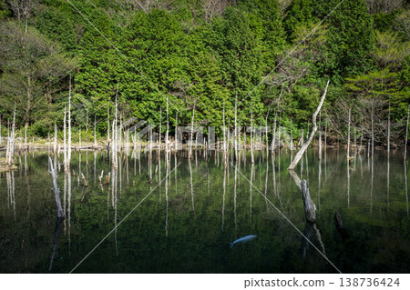 山口縣著名的賞櫻地點 山口縣著名的賞櫻地點 138736424