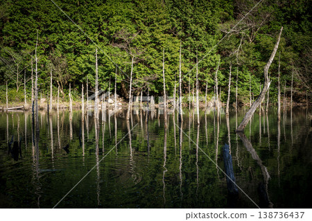 山口縣著名的賞櫻地點 山口縣著名的賞櫻地點 138736437
