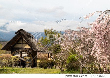 Cherry blossoms at Suisha-no-Sato Park 138736612