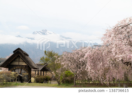Cherry blossoms at Suisha-no-Sato Park 138736615