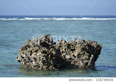 Okinawa Prefecture, Iriomote Island, Minamikamida to Shikagawa Okinawa Prefecture, Iriomote Island, Minamikamida to Shikagawa 138736656