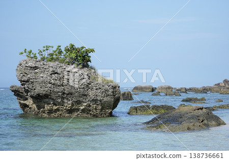 沖繩縣、西表島、南上田~志賀川 沖繩縣、西表島、南上田~志賀川 138736661