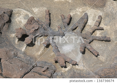 Okinawa Prefecture, Iriomote Island, Minamikamida to Shikagawa Okinawa Prefecture, Iriomote Island, Minamikamida to Shikagawa 138736674