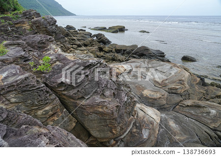 沖繩縣、西表島、南上田~志賀川 沖繩縣、西表島、南上田~志賀川 138736693