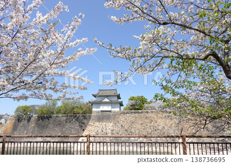 大阪城公園的春季櫻花盛開(攝於2026年4月) 大阪城公園的春季櫻花盛開(攝於2026年4月) 138736695