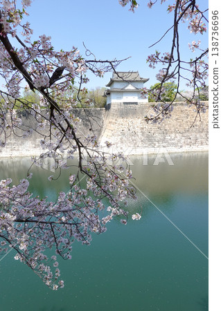 Osaka Castle Park during the spring cherry blossom season (photographed in April 2026) Osaka Castle Park during the spring cherry blossom season (photographed in April 2026) 138736696