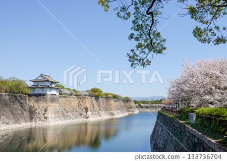 大阪城公園的春季櫻花盛開(攝於2026年4月) 大阪城公園的春季櫻花盛開(攝於2026年4月) 138736704