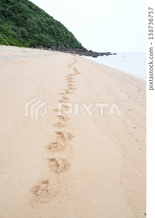 沖繩縣、西表島、南風田～鹿川、大濱 138736757